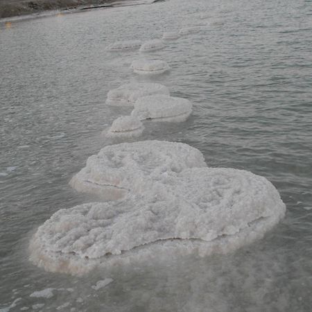 Zimmer Dora Neve Zohar Kültér fotó